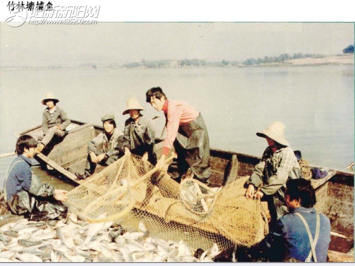 1981年的竹林塘.jpg