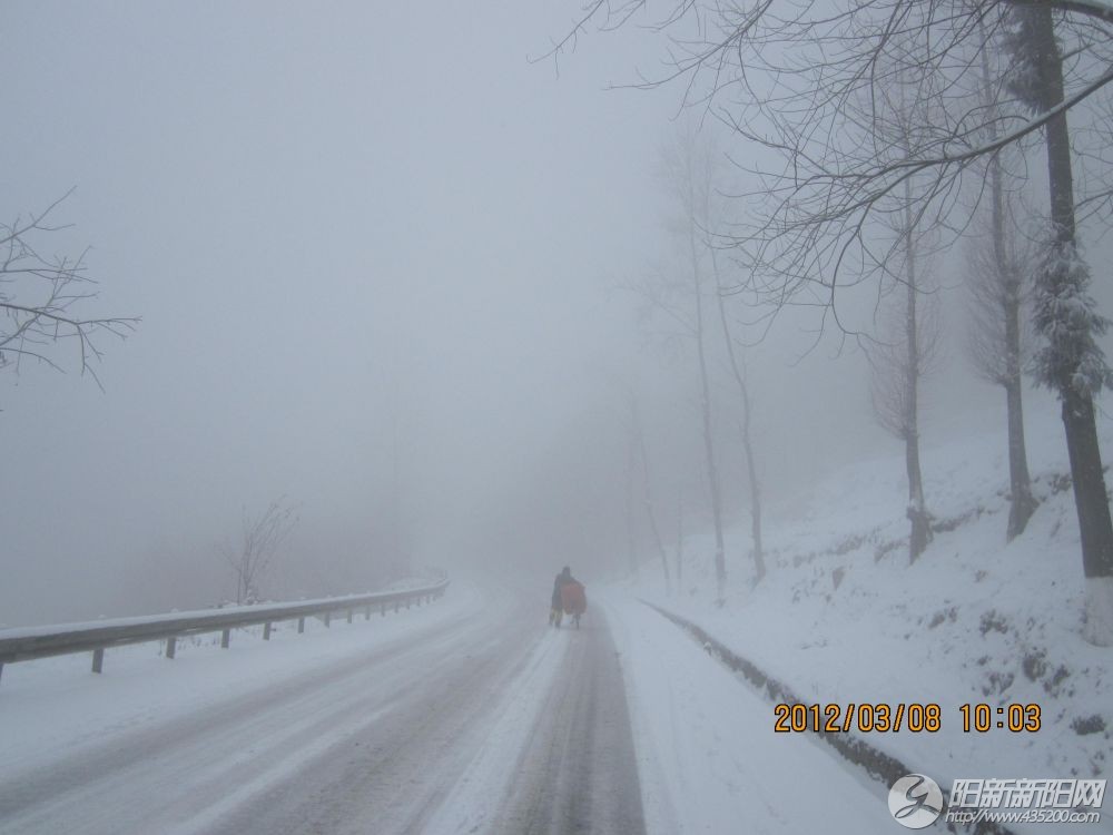 从野三关出发一路的雪, (3).JPG