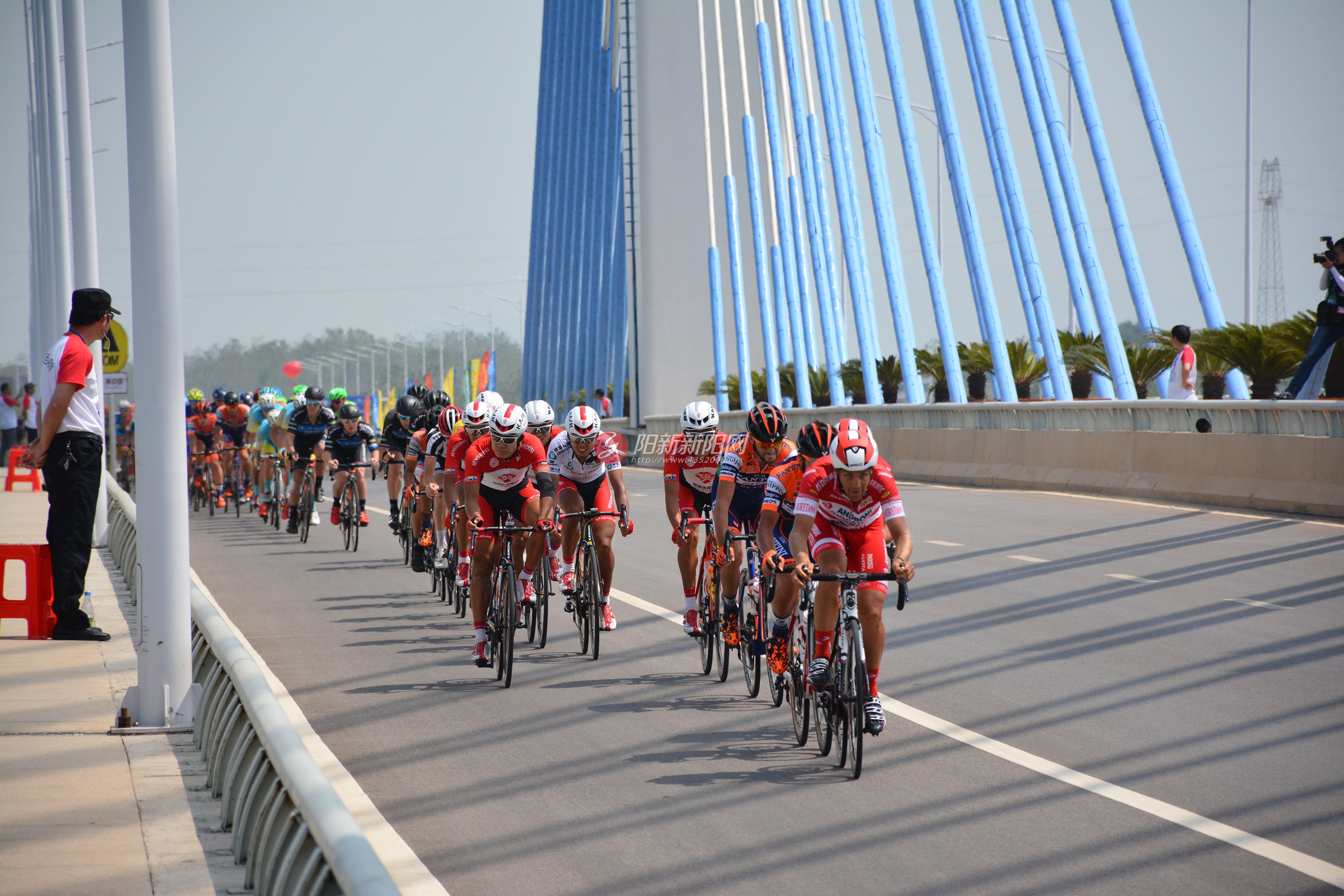 环中国国际自行车公开赛 211.jpg