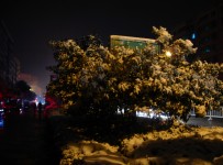 2011年第一场雪夜景